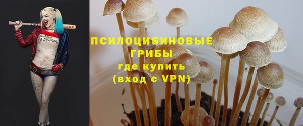 бошки Нефтекумск